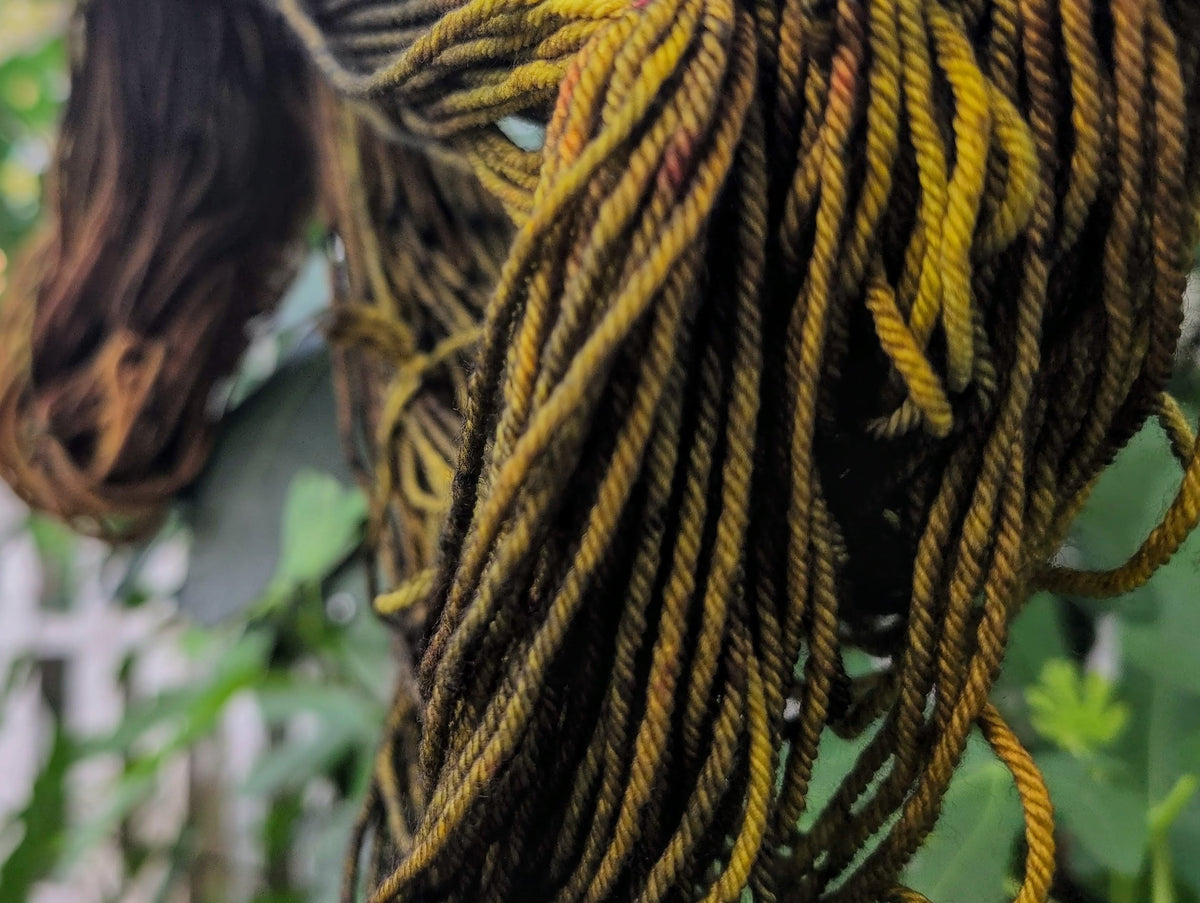 The Reaping: Notes on a Harvest Variegation