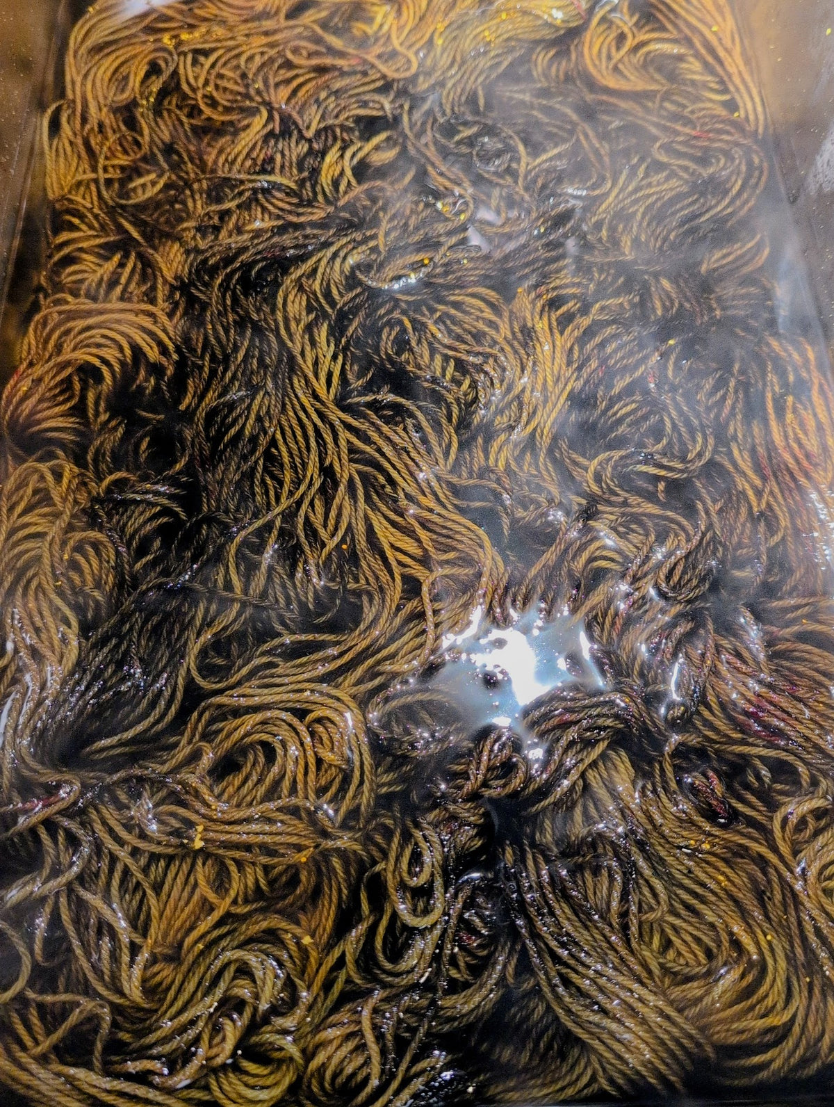 The Reaping — Hand-Dyed Worsted Yarn | Witchy Indie Dyer | Dark Harvest Amber & Bronze
